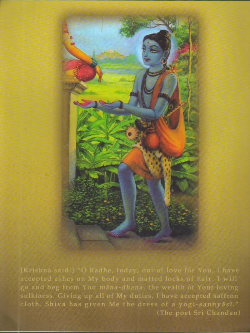 Krnsa Kathamrita vol 09 (Secret of Gaura's Sannyas) — Back Cover