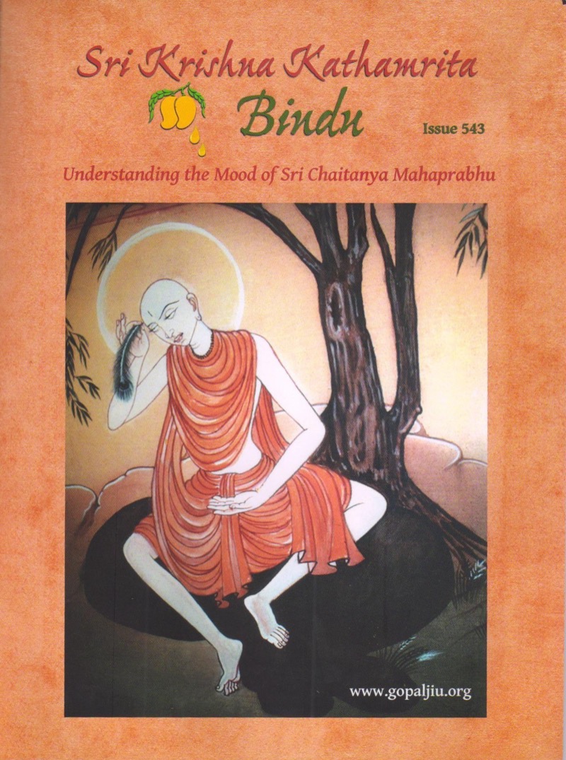 Krsna Kathamrita Issue 543(Understanding the mood of sri chaitanya)