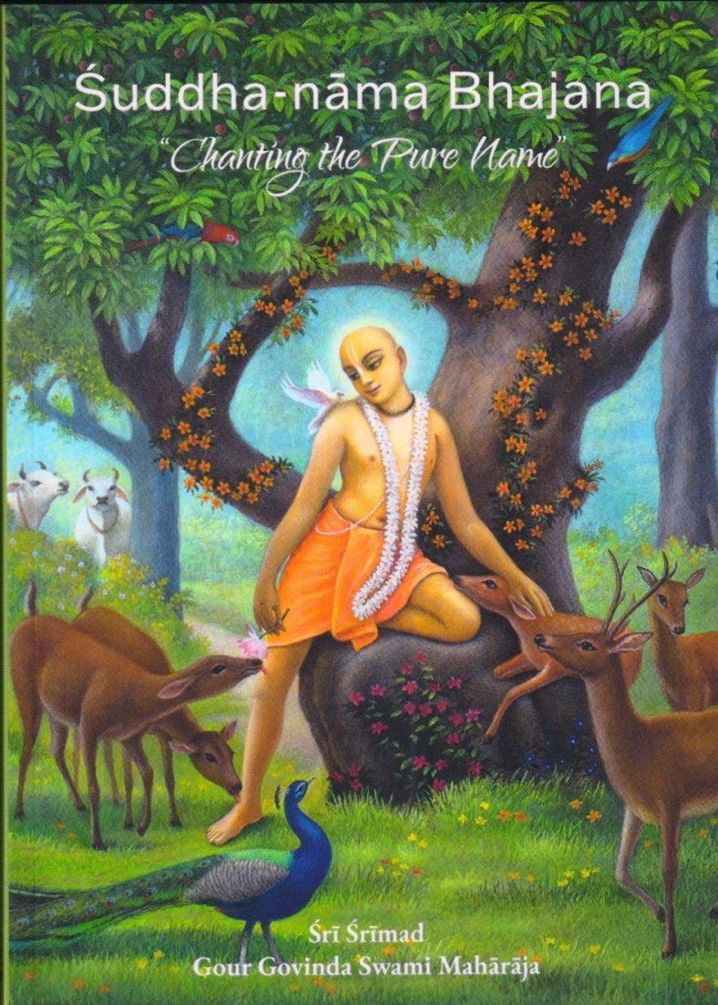 Suddha Naam Bhajan (New Cover)